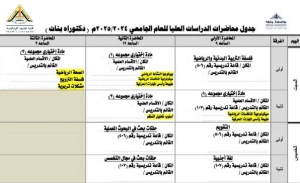 جدول محاضرات الدراسات العليا للعام الجامعى 2024/2025م (مرحلة دكتوراة بنات )